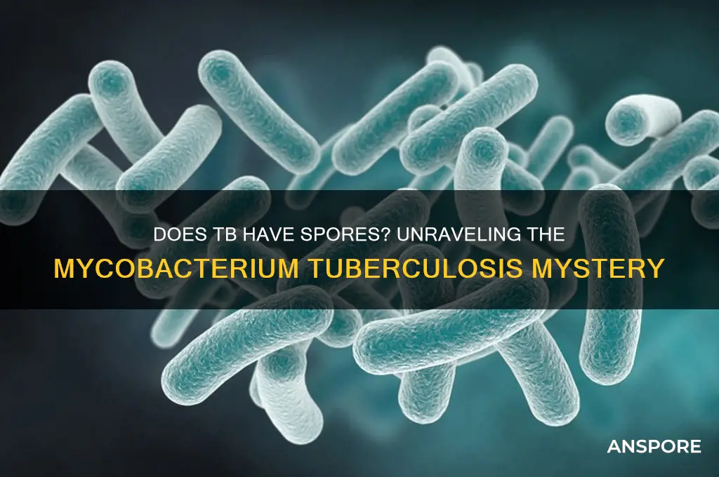does tb have spores