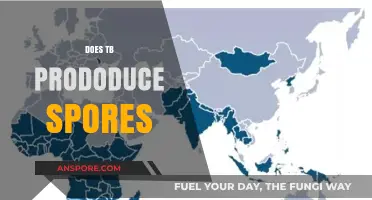 Does TB Produce Spores? Unraveling the Truth About Tuberculosis