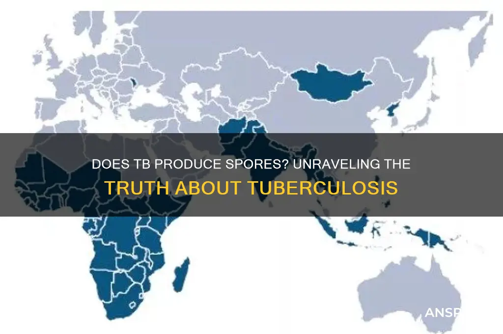 does tb prododuce spores