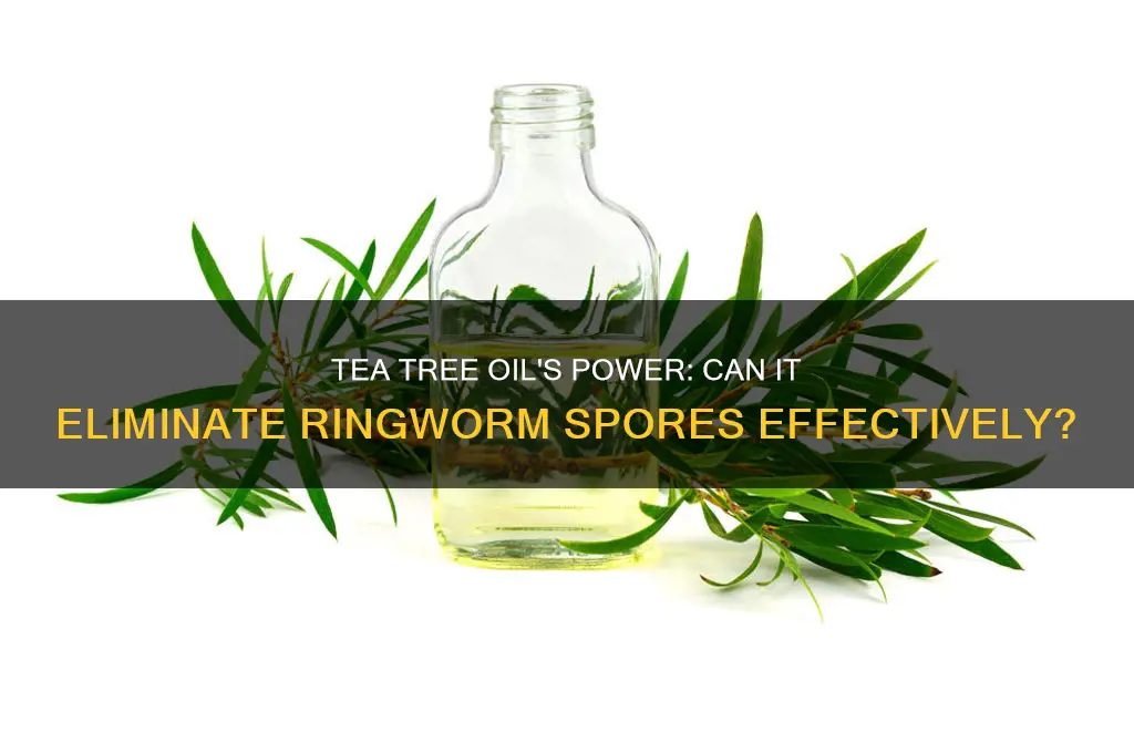 does tea tree oil kill ringworm spores