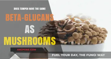 Tempeh and Mushrooms: Beta-Glucan Benefits