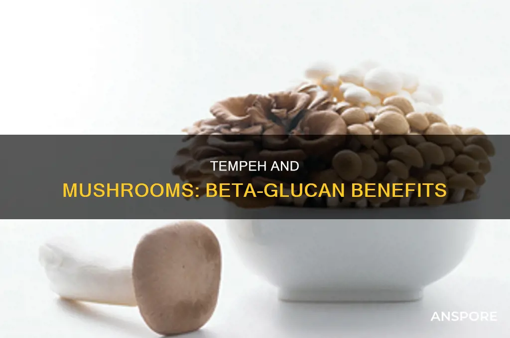 does tempeh have the same beta-glucans as mushrooms
