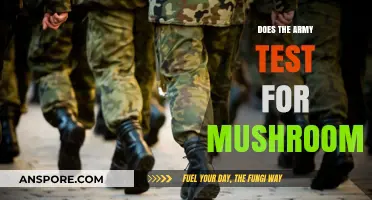 Do Army Drug Tests Detect Mushrooms? Facts and Myths Explained