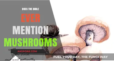 Biblical Mentions of Mushrooms: A Foray