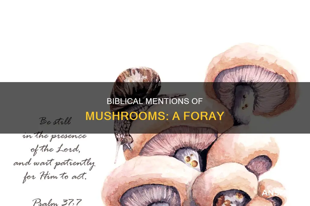 does the bible ever mention mushrooms