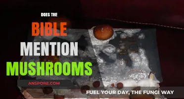 Mushrooms in the Bible: A Biblical Exploration