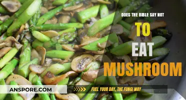 Mushrooms in the Bible: Forbidden Food or Culinary Freedom?