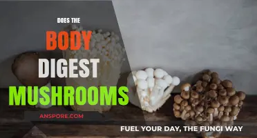 How Mushrooms Are Digested by the Human Body