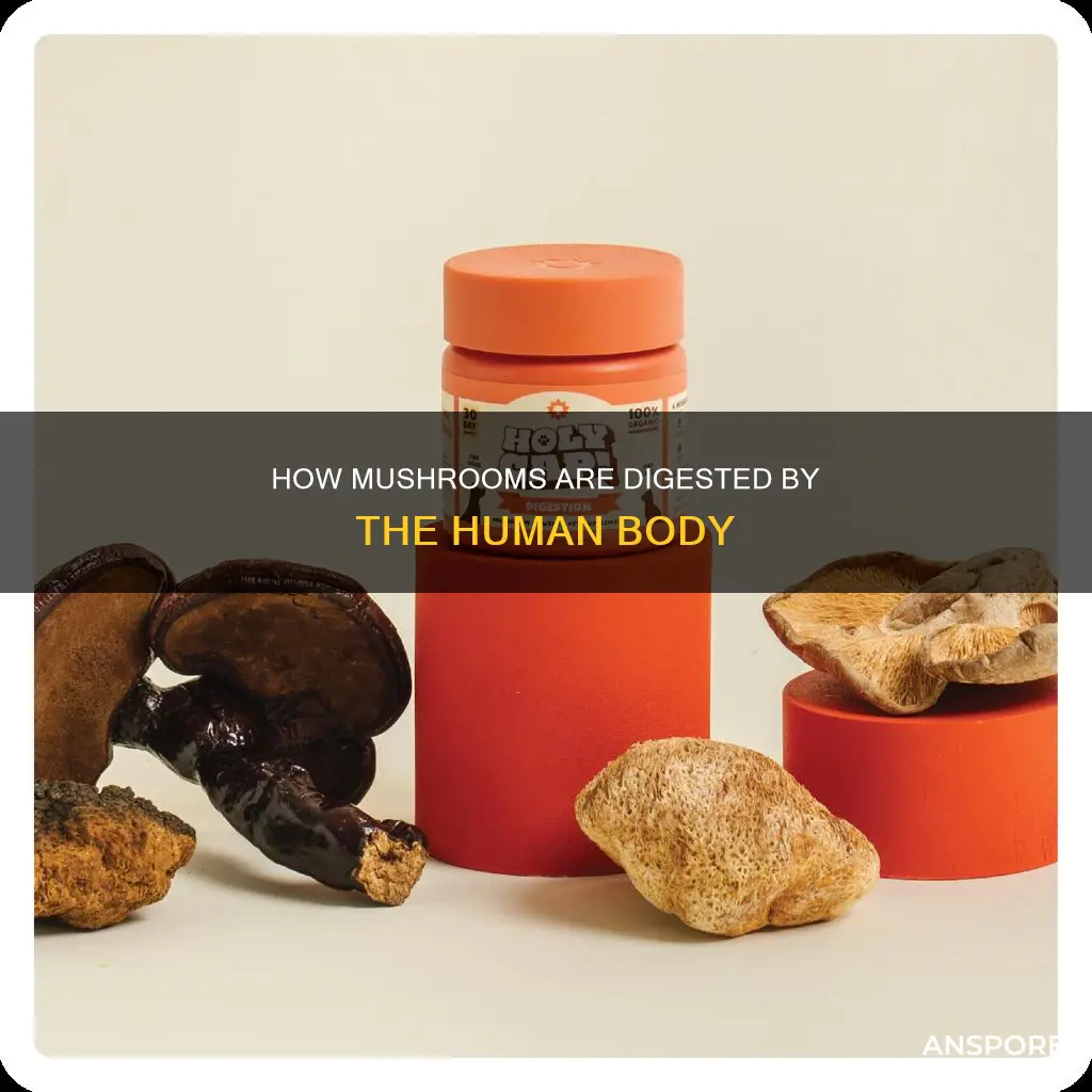 does the body digest mushrooms