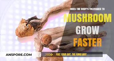 Mushroom Tolerance: How Quickly Does the Body Adapt?