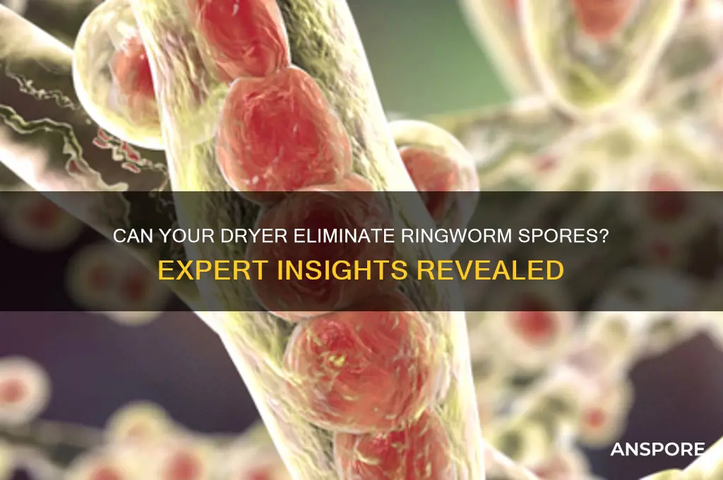 does the dryer kill ringworm spores