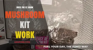 Does the EZ Grow Mushroom Kit Deliver Results? A Review
