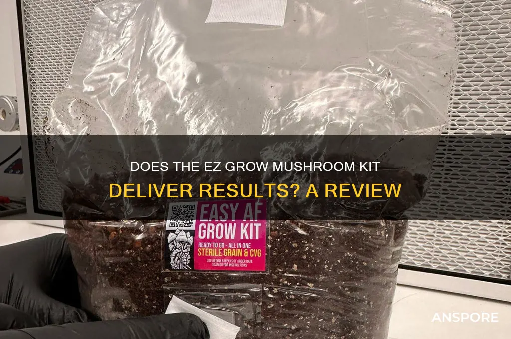 does the ez grow mushroom kit work