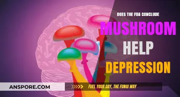 Mushrooms: FDA-Approved Treatment for Depression?