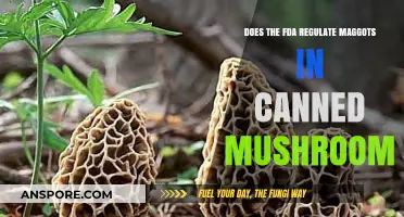 FDA Regulations: Maggots in Canned Mushrooms - What You Need to Know