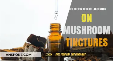 FDA and Mushroom Tinctures: Lab Testing Requirements