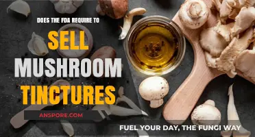 Mushroom Tinctures: FDA Rules and Regulations