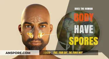 Do Human Bodies Contain Spores? Unveiling the Surprising Truth