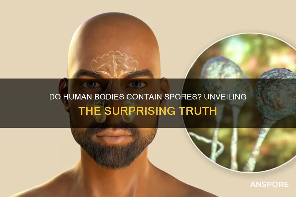 does the human body have spores