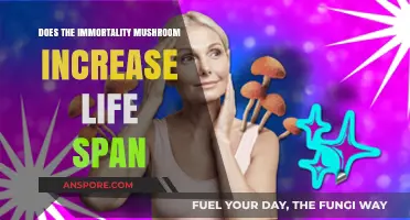 Immortality Mushroom: Can It Extend Human Lifespan?