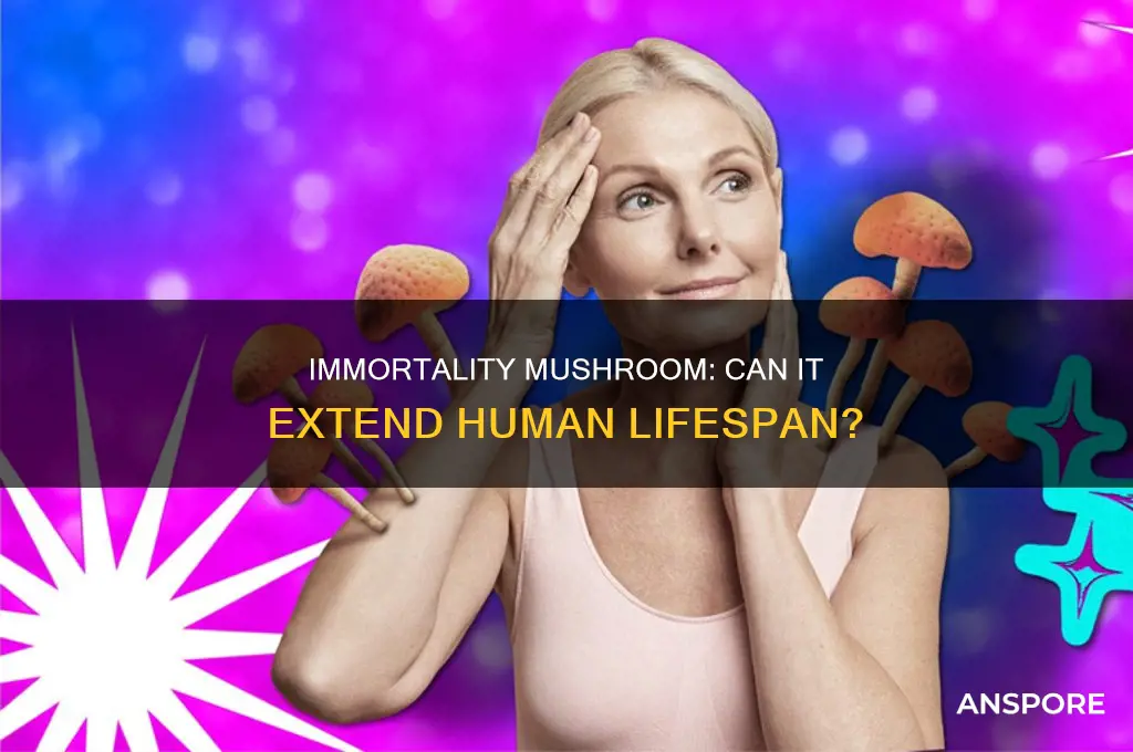 does the immortality mushroom increase life span
