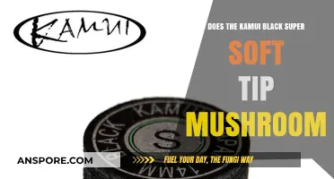 Kamui Black Super Soft: The Ultimate Tip Control