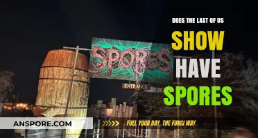 The Last of Us Show: Exploring the Presence of Spores
