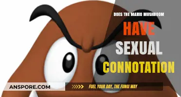 The Mushroom's Secret: Sexual Innuendo in Mario?