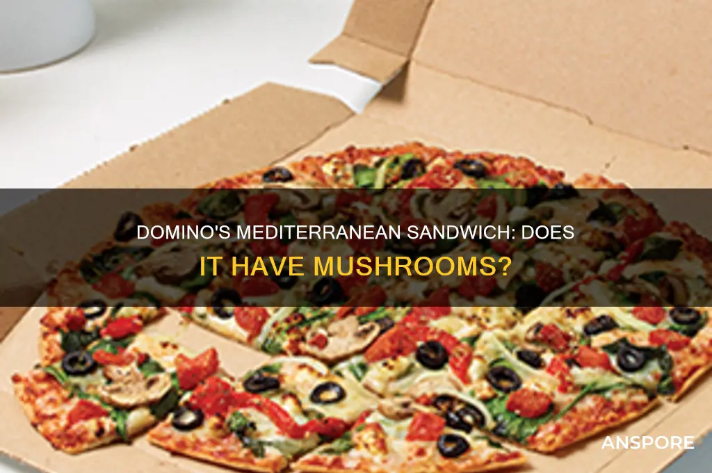 does the mediterranean sandwich from domino