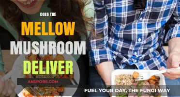 Mellow Mushroom's Delivery Service: What You Need to Know