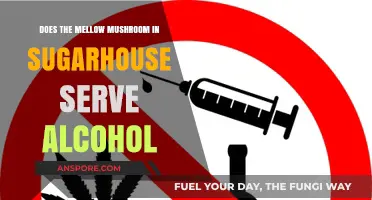 Mellow Mushroom Sugarhouse Alcohol Policy Explained