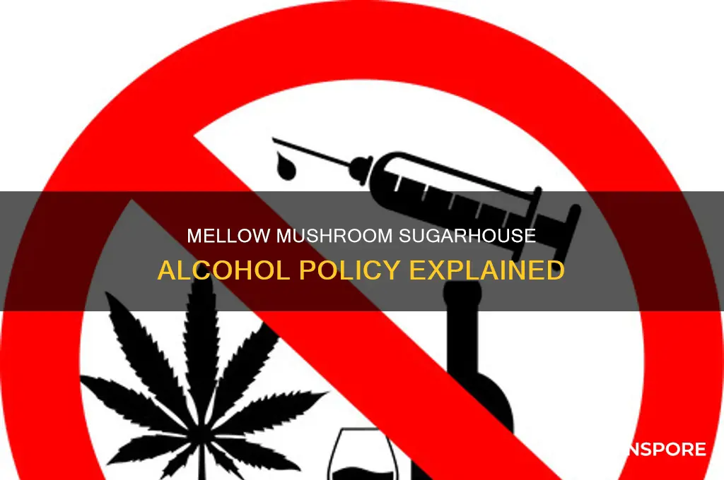 does the mellow mushroom in sugarhouse serve alcohol