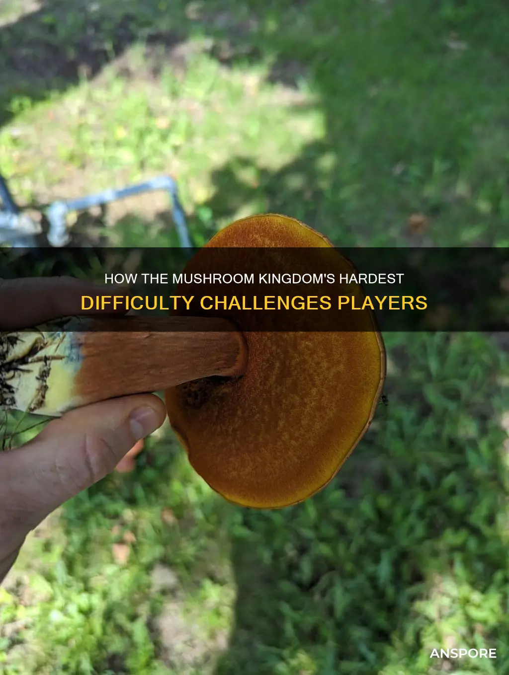 does the mushroom 13 difficulty