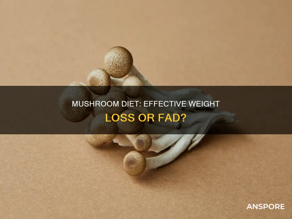 does the mushroom diet work