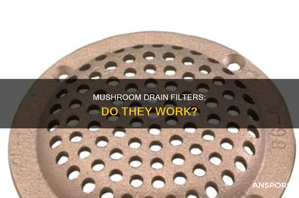 does the mushroom drain filter work