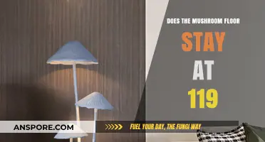 Why the Mushroom Floor Stays at 119