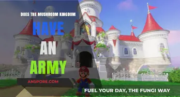 The Mushroom Kingdom's Defense Forces: A Military Analysis