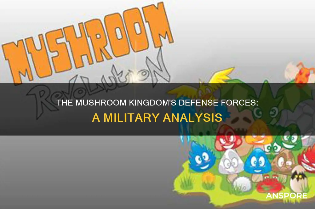 does the mushroom kingdom have an army