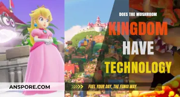 The Mushroom Kingdom: A Technological Fantasy?