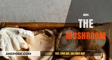 Mushroom's Magical Powers: Unlocking Nature's Secrets