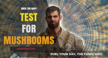 Mushrooms and the Navy: Testing for Psychedelic Substances
