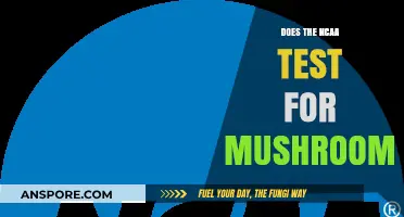 Mushroom Use: NCAA Testing Policies Explained