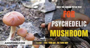 Psychedelic Mushrooms: Can the SCRAM Patch Detect Them?