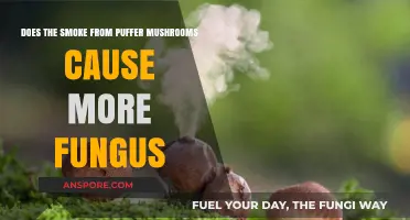 Inhaling Puffball Spores: A Recipe for Fungal Growth?