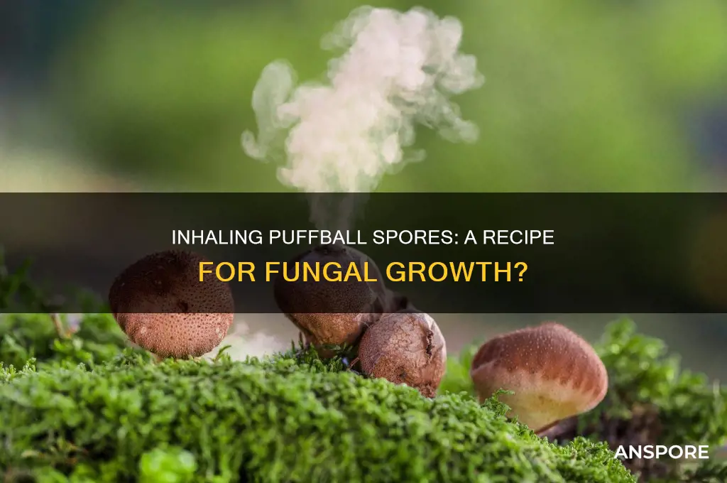 does the smoke from puffer mushrooms cause more fungus