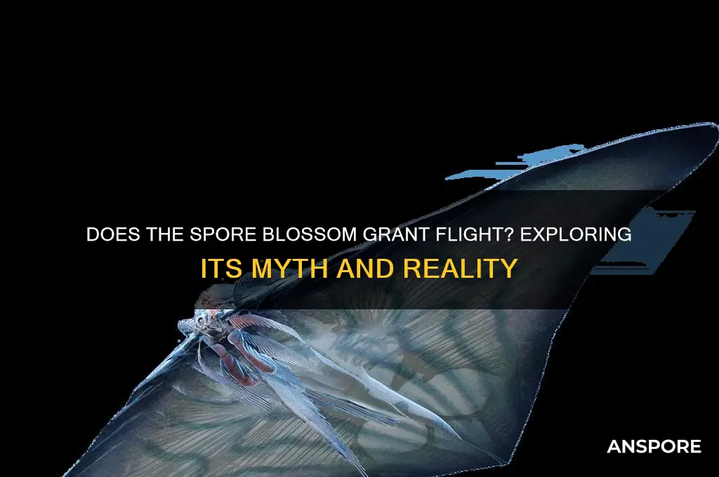 does the spore blossom make you fly