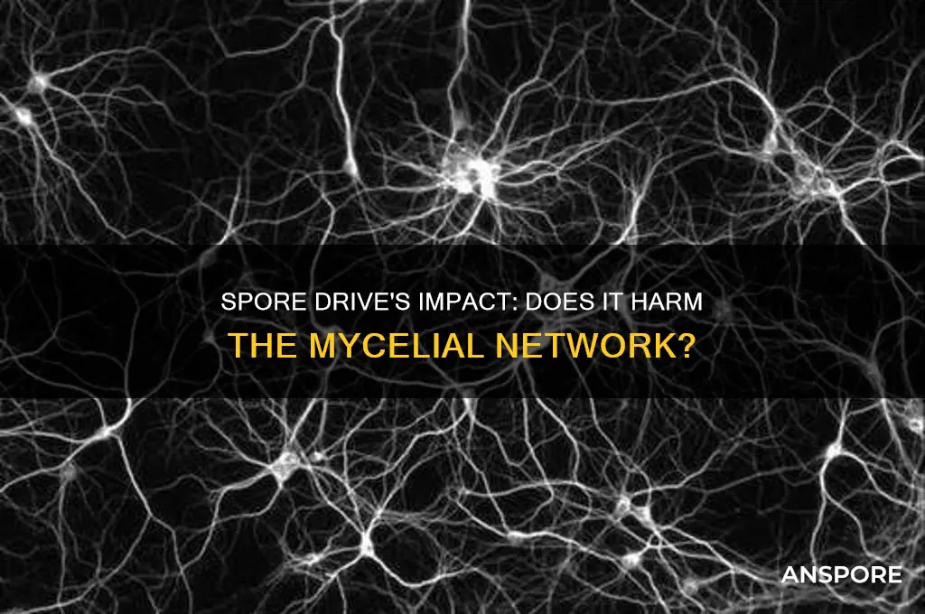 does the spore drive damage the mycelial network
