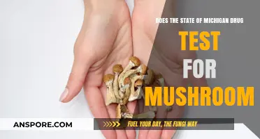 Mushroom Use in Michigan: Drug Testing Laws