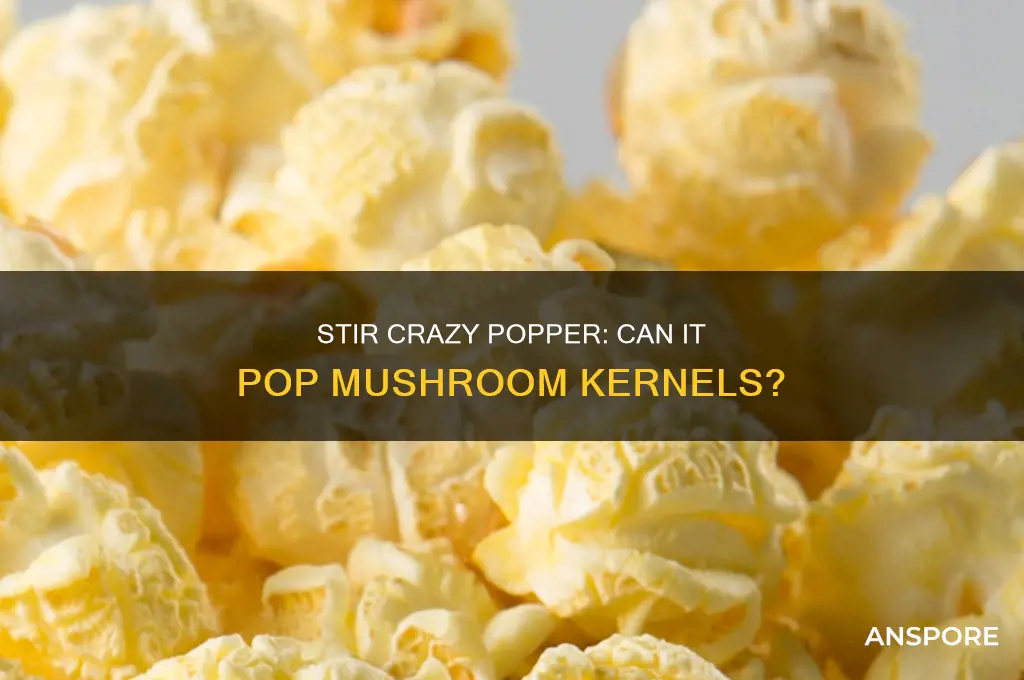 does the stir crazy popcorn popper pop mushroom kernels