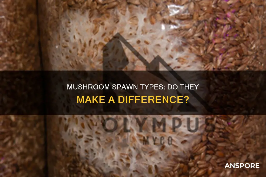 does the type of spawn matter mushrooms